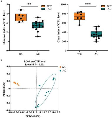 Comparison of the intestinal flora of wild and artificial breeding green turtles (Chelonia mydas)